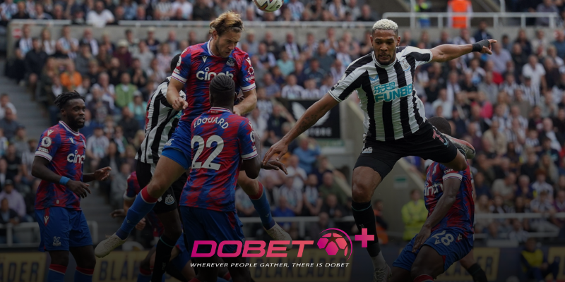 DOBET prevê o placar de Crystal Palace x Newcastle