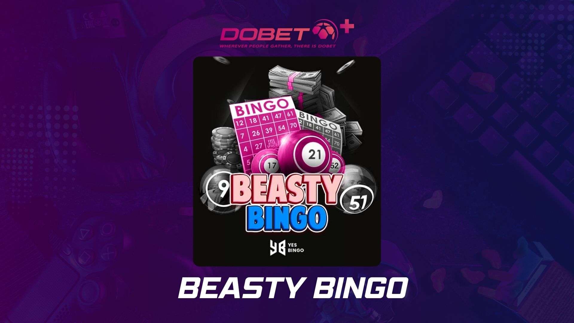 Beasty Bingo: Uma Aventura Selvagem no Mundo dos Jogos de Bingo