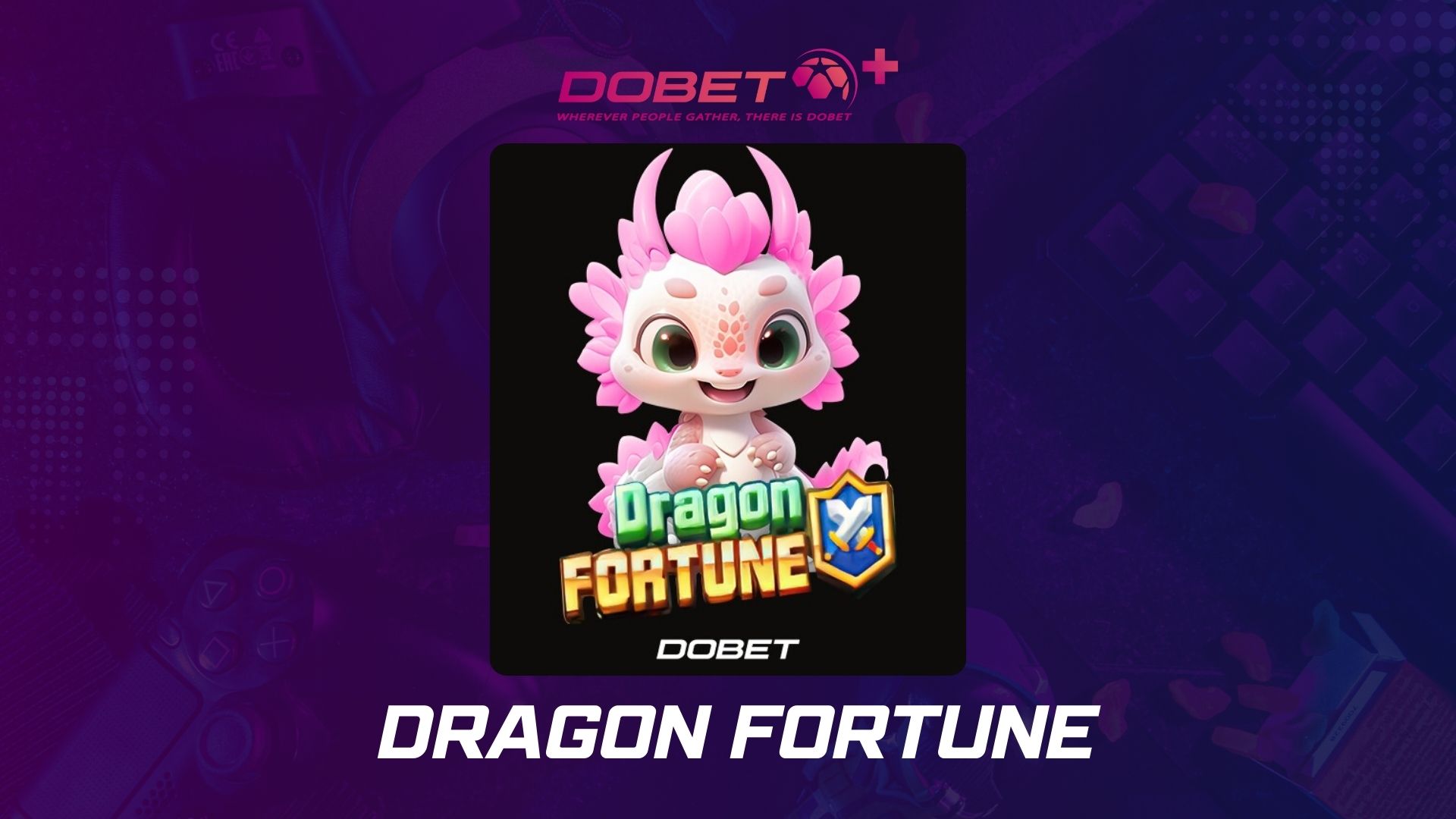 dragon-fortune-tesouros-dragões